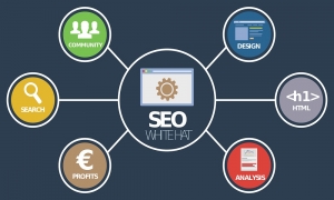 Why Digital Piloto should be your go-to for Affordable SEO Services in Kolkata